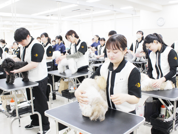 トリミング実習は準備が大切！